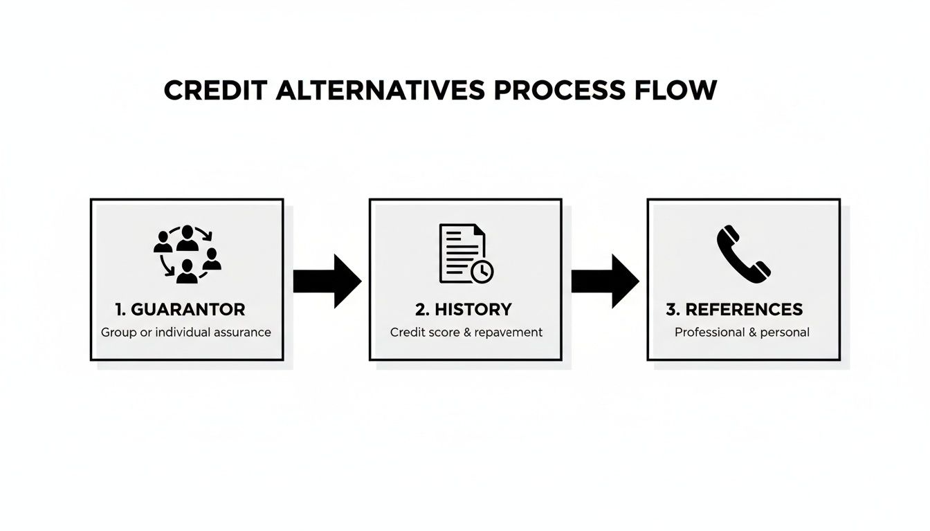 A process flow diagram detailing credit alternatives: guarantor, history, and references.