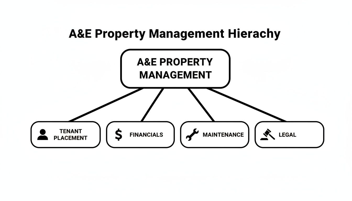 A&E Property Management hierarchy showing tenant placement, financials, maintenance, and legal services structure.
