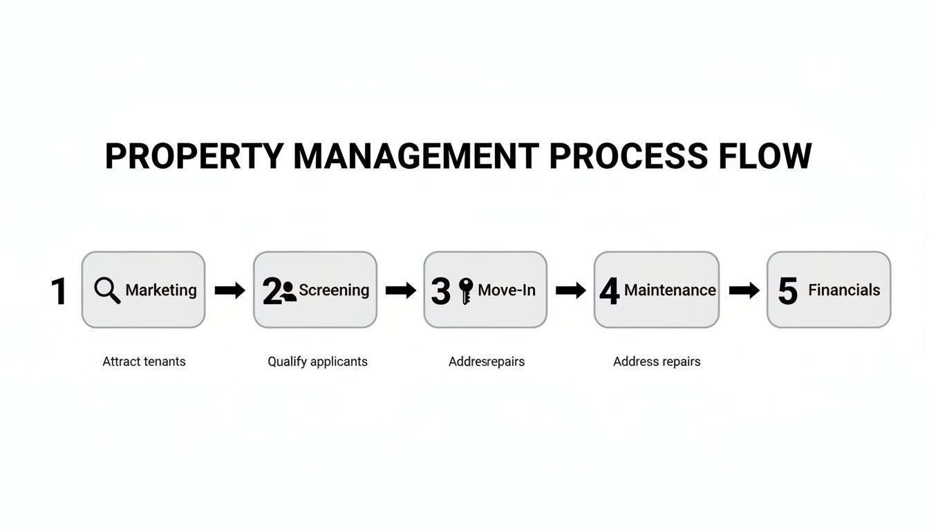 A flow chart illustrating the 5-step property management process: marketing, screening, move-in, maintenance, and financials.