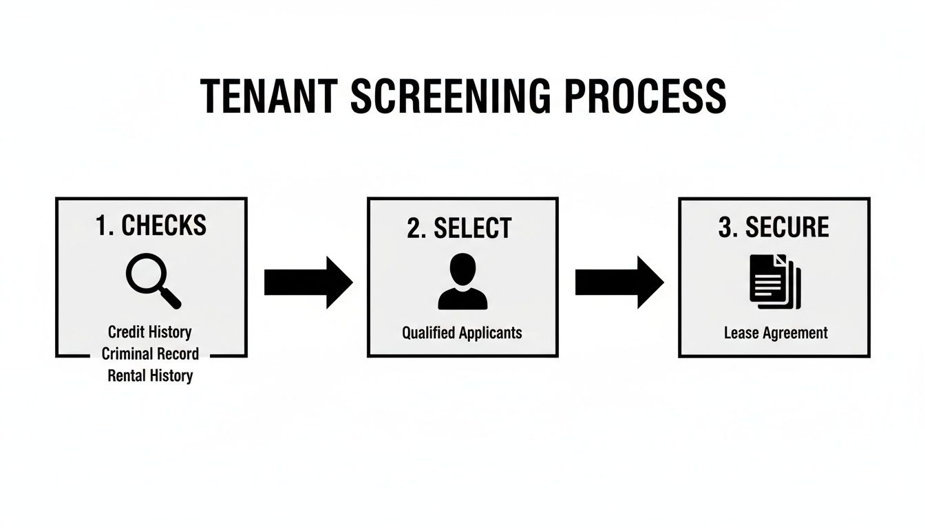 A flowchart detailing the tenant screening process, including checks, applicant selection, and lease agreement.